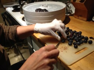 did DIY raisins from the concords out front